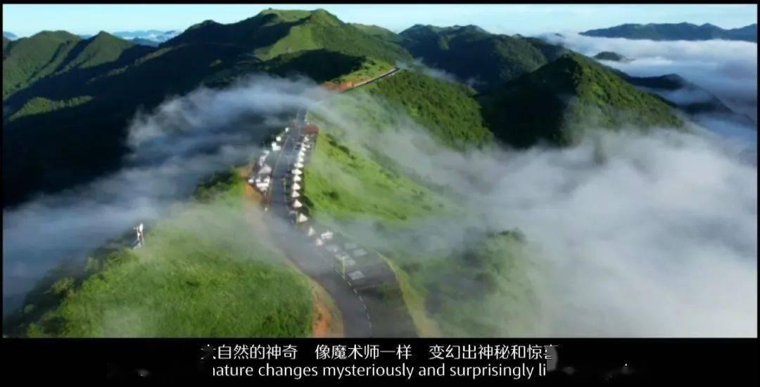 迷人的妖精