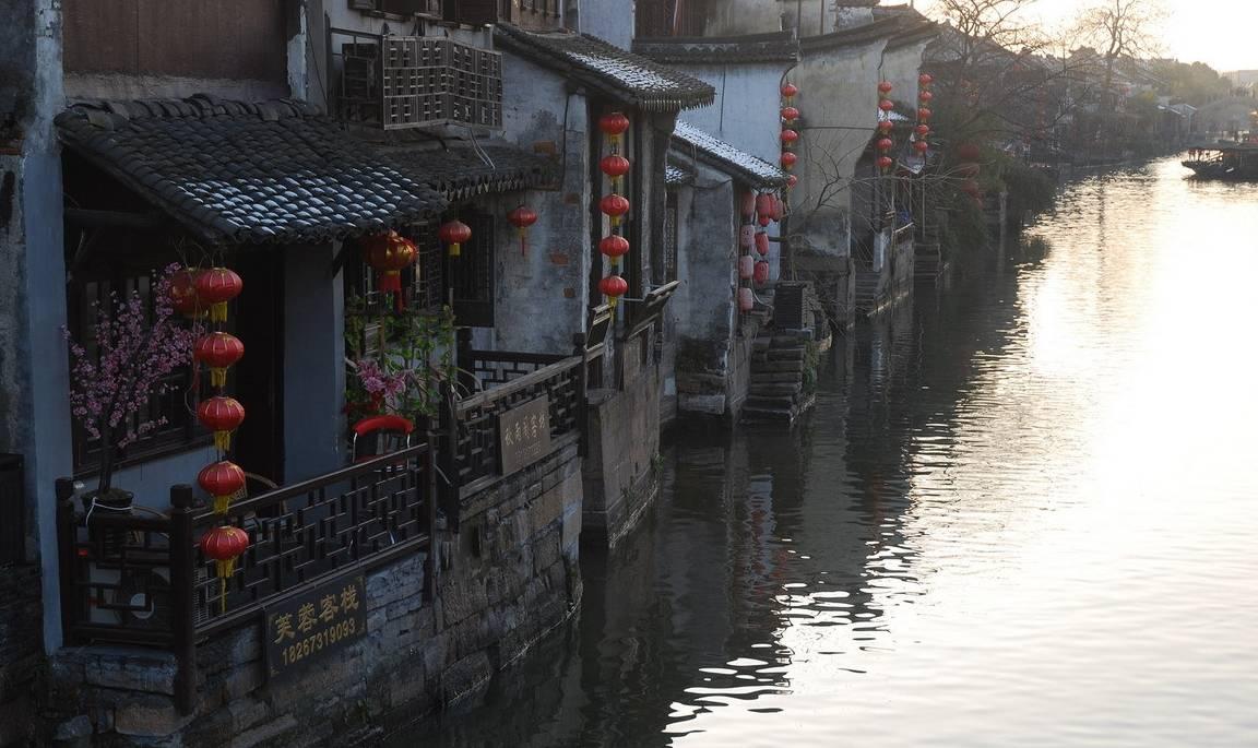 全新空气凤梨怎么养?平台 | 专业有问必答服务